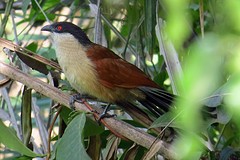 IMG_5561 (Kopie)