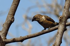 IMG_5563