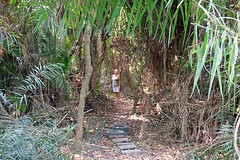 IMG_5576 (Kopie)