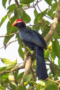 IMG_5598 (Kopie)