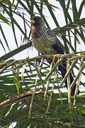 IMG_5613 (Kopie)