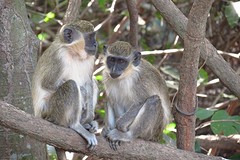 IMG_5631 (Kopie)