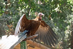 IMG_5654 (Kopie)