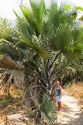 IMG_5656 (Kopie)
