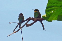 IMG_5605 (Kopie)