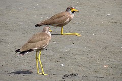 IMG_5762 (Kopie)