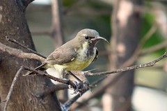 IMG_5851 (Kopie)