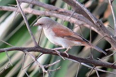 IMG_5856 (Kopie)