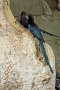 IMG_5878 (Kopie)