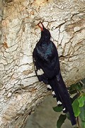 IMG_5882 (Kopie)