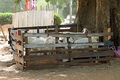 IMG_5896 (Kopie)