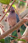 IMG_6015 (Kopie)