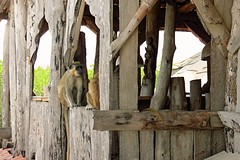 IMG_6079 (Kopie)