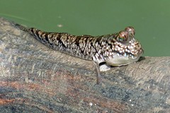IMG_6107 (Kopie)