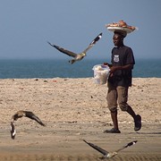 IMG_6334 (Kopie)