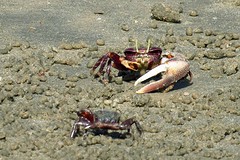 IMG_6356 (Kopie)