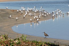 IMG_6164 (Kopie)
