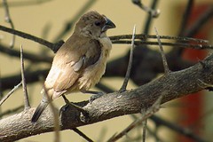 IMG_6652 (Kopie)