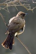 IMG_6661 (Kopie)