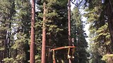 Daan over de Zipline!