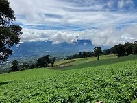 IMG_6750