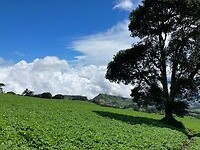 IMG_6749