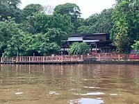 IMG_6781