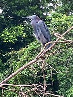 IMG_6790