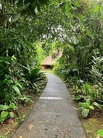 IMG_6830