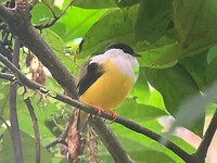 IMG_6839