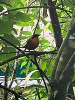 IMG_6851