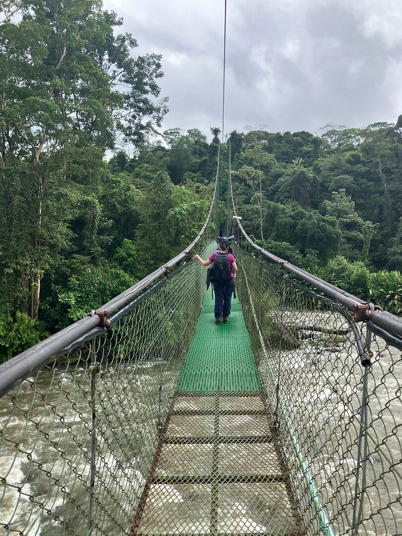 Místico Park