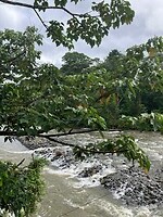 IMG_6855