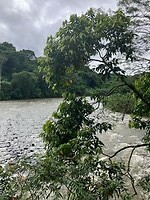 Siripiqui river