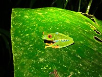 IMG_6917