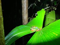 IMG_6921