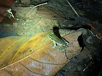 IMG_6922