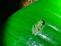 IMG_6927