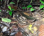 IMG_6930