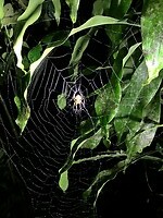 IMG_6932
