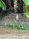IMG_7028