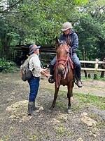 Horseback riding