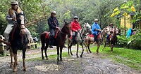 Horseback riding