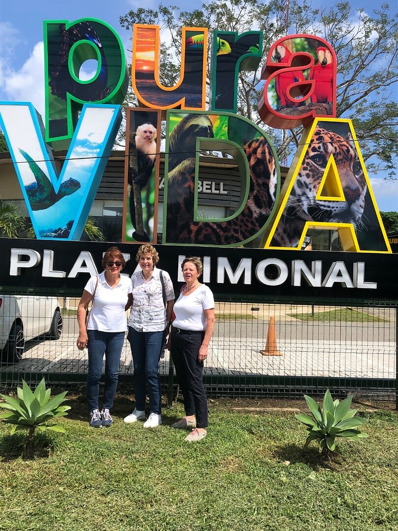 Pura Vida