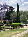 IMG_9550