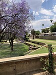 IMG_9549