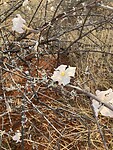 IMG_9573