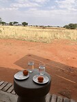 IMG_9561