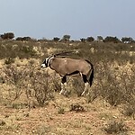 IMG_9563