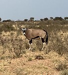 IMG_9562